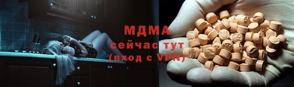 PSILOCYBIN Алзамай