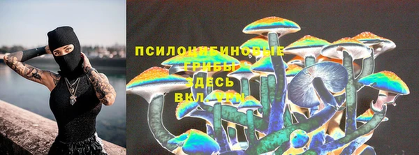 спиды Алексеевка