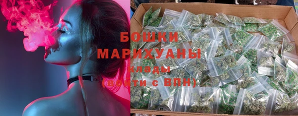 PSILOCYBIN Алзамай