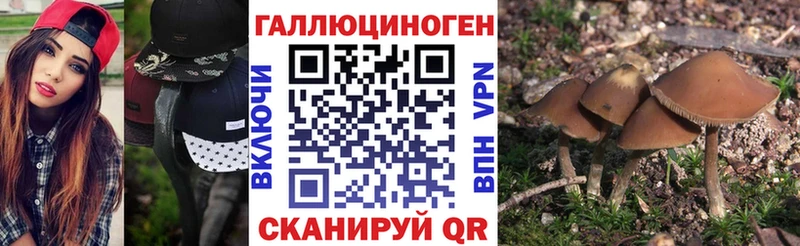Галлюциногенные грибы мицелий  omg tor  Гурьевск  как найти наркотики 