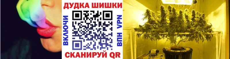 это телеграм omg как зайти Бошки марихуана план Гурьевск как найти закладки